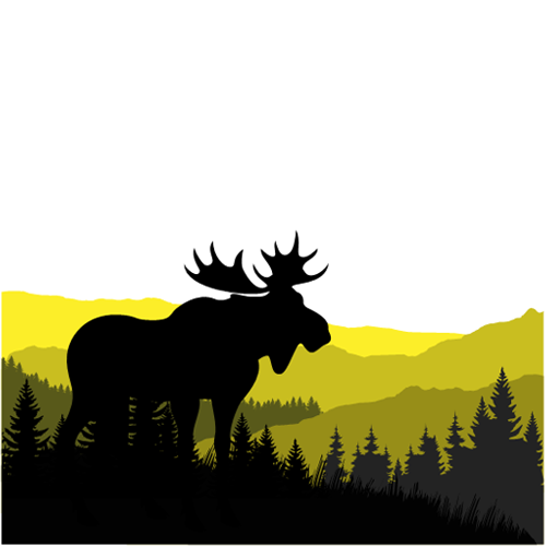 yellow_elk_content_block_01.webp